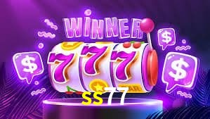 Experiência VIP ss77