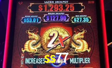 ss77 Brasília - VIP Program