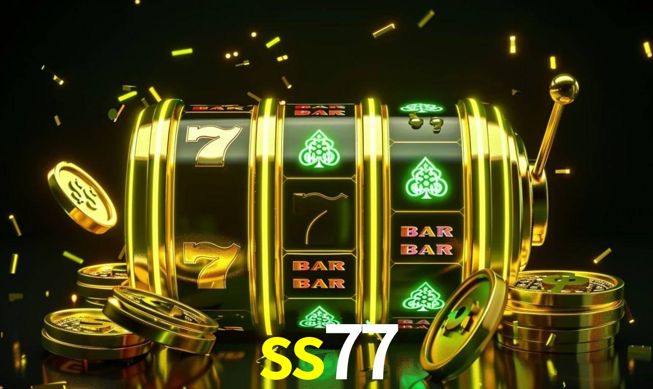 ss77 Salvador - Statistics